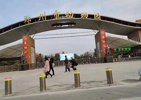 The Zoo in China