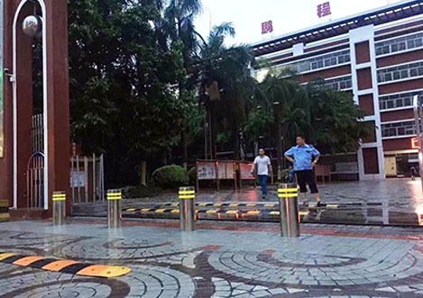 The Gate of Primary School In China 3